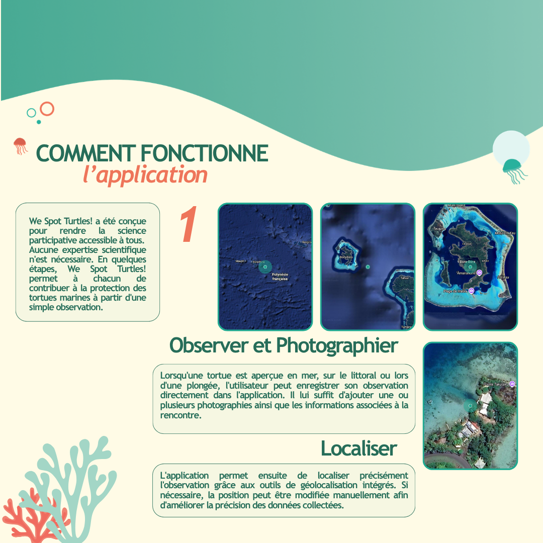 MY DIGITAL PROJECT – We Spot Turtles! , l&rsquo;application de science participative